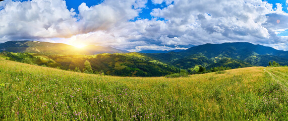 Mountain Meadow Wildflowers Cloudy Sky