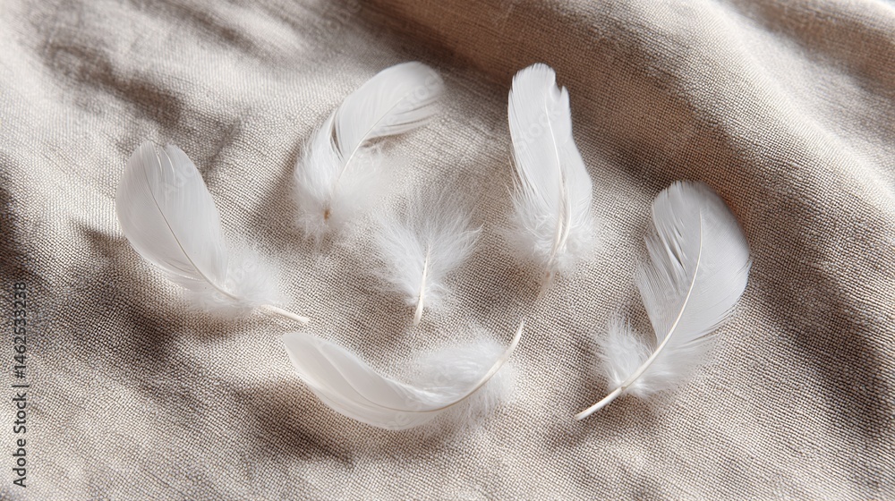 Aufkleber delicate white feathers are artfully arranged against a smooth ivory fabric, showcasing subtle shado