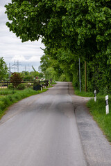 road in the park