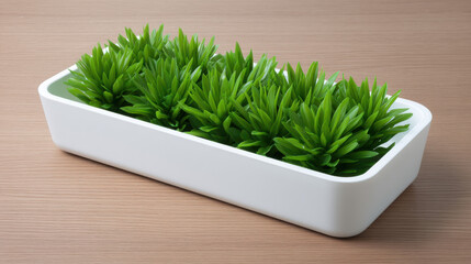 A rectangular white planter with vibrant green succulent plants creates a clean and modern aesthetic on a light wood grain surface in a simple indoor setting.