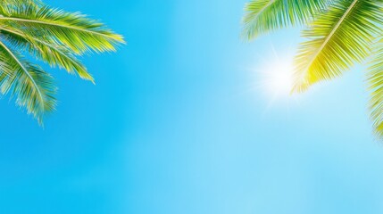 Fototapeta premium Tropical blue sky with palm fronds and sun flare perfect summer vacation getaway