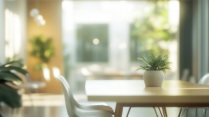 Fototapeta premium Plant on table in bright interior setting view