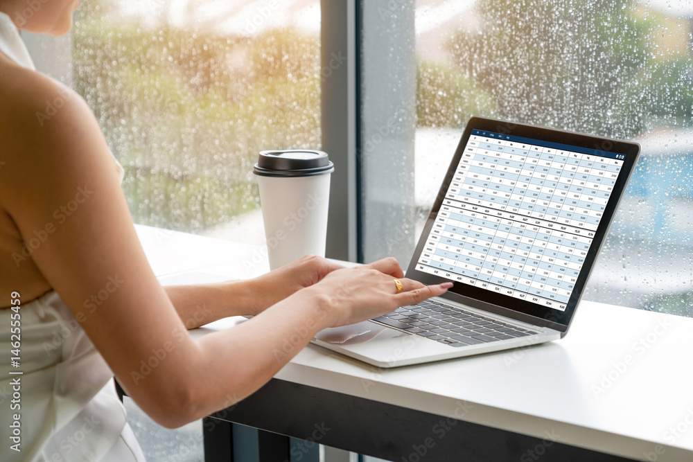 Poster accounting software on computer screen showing financial statement spreadsheets and account balance 