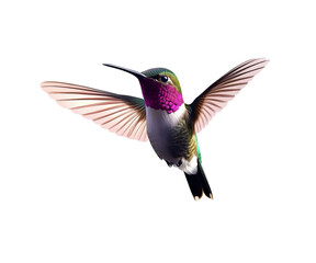 Obraz premium A colorful hummingbird flying in the air, against on Png Format and Transparent Background