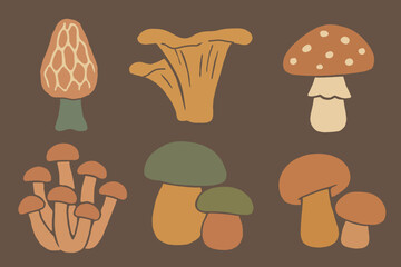 Mushroom set illustration — flat naive vector icon style

