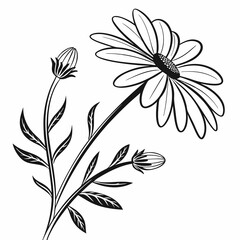 black and white flower