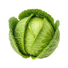 Obraz premium Fresh Green Cabbage on White Background – Studio Shot of Whole Vegetable