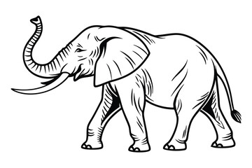 Majestic Walking Elephant Line Art,  elephant Black and White Vector Drawing, Wild elephant Illustration coloring page.