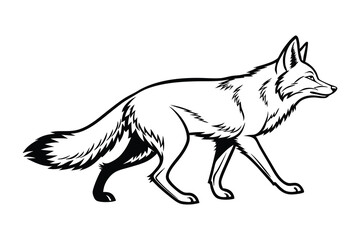 Wild Fox Walking Line Art vector, Outline fox sketch in Forest Animal Vector, fox Hand-Drawn Outline Illustration.