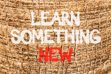 Learn something new symbol. Concept words Learn something new on beautiful palm bark. Beautiful palm bark background. Business motivational lifestyle learn something new concept. Copy space.