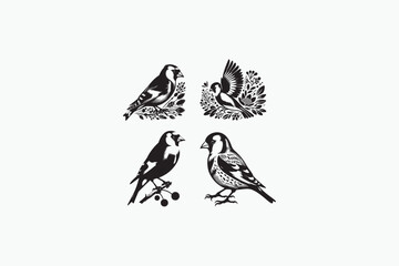 Goldfinch bird vector silhouettes black and white image made by adobe illustrator with white color back round.