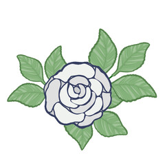 Obraz premium 薔薇