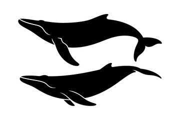 Whale silhouette ocean mammal vector illustration