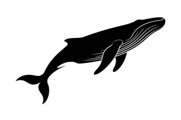 Humpback whale silhouette ocean animal illustration