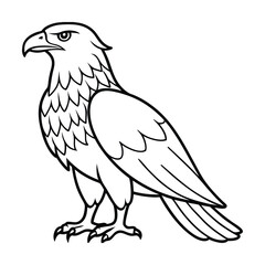 Fototapeta premium a eagle bird stands alone create a picture line art vector silhouette