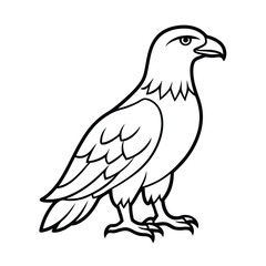 Fototapeta premium a eagle bird stands alone create a picture line art vector silhouette