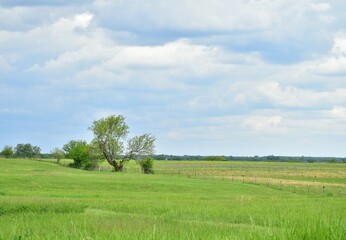Clouds Over Rural Farm Field
