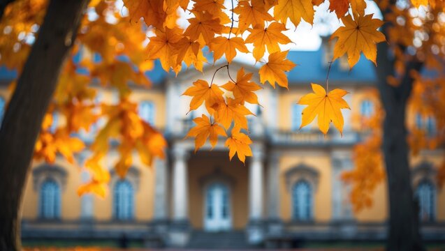 Golden autumn leaves decorating the trees beside the Palace facade