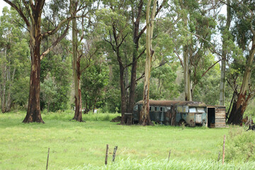 
Old abandoned bus among trees in a green rural landscape