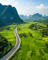 Vibrant green rice fields and winding road in southern Vietnam on a sunny day