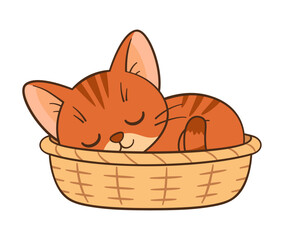 Red the cat is sleeping in a basket. Cute ginger tabby kitten. Flat style Chibi cat clean, simple design Perfect for children’s content, greeting cards, stickers, tshirts, mug and posters illustration
