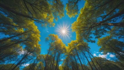Obraz premium Bright spring landscape with setting sun shining through tree leaves and branches, showcasing natural beauty, forestry, and sustainability themes