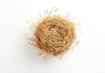 Obraz premium Round nest of straw, light brown, atop a white background. Fine straw material, small twigs and stems visible, soft, organic