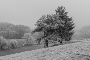 Frostige Herbst / Winterlandschaft
