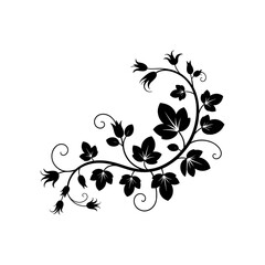 Botanical Elegance: A captivating botanical illustration, rendered in striking black against a clean backdrop, depicts a sinuous vine adorned with leaves and delicate blossoms.