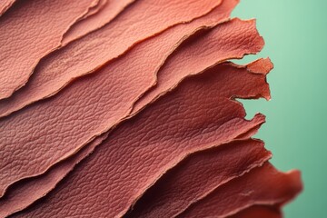 Close-up view of textured reddish-brown leather.