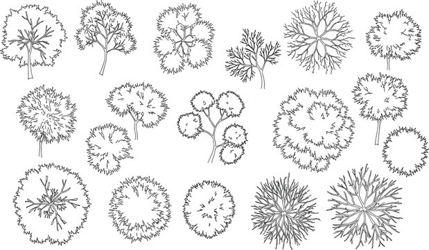 Vector set of Top view green tree for outdoor plan or map and architecture drawing, elements for environment and garden ,botanical elements ,Blooming flowers in spring