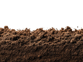 humus soil bottom border pile isolated on white or transparent png