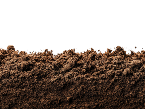 humus soil bottom border pile isolated on white or transparent png