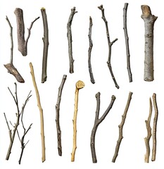 Assorted dry twigs and branches.  Various lengths, thicknesses, and shapes of nature's wood elements, isolated against a plain white background