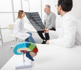 Human brain anatomical model on doctor's table over background doctors analyzing results of MRI scan of patient head at medical clinic. Diseases of brain, nerves and nervous system