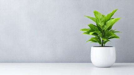 Fototapeta premium Greenery in a Modern Setting