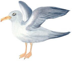 A soft and realistic watercolor illustration of a seagull, showcasing its graceful posture and delicate feathers. This serene artwork captures the essence of coastal life, evoking feelings of tranquil