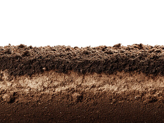 humus soil bottom border pile isolated on white or transparent png