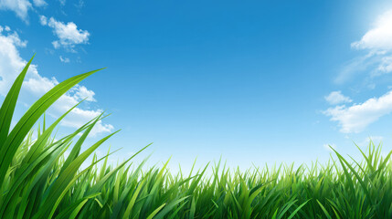 Fototapeta premium Lush green grass blades sway gently under a bright blue sky dotted with fluffy white clouds on a sunny day, creating a vibrant and peaceful natural scene.
