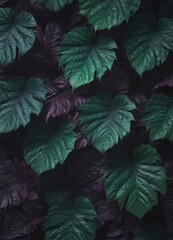 Fototapeta premium Deep purple and emerald green exotic leaves, mysterious, dark pattern , repeating, wallpaper