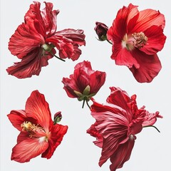 Vivid Red Flowers in Dynamic Motion with Petals