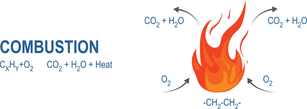 Combustion reactions vector. Types of chemical reactions. Combustion is a chemical process in which a substance reacts rapidly with oxygen and gives off heat. Science education vector illustration