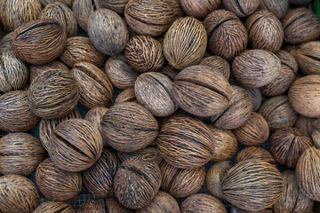 Background of buddha palm seeds sale at Marché de Noailles or Noailles market, Marseille city, France. The oldest, coastal, Phocaean city hosts millions of international tourists and visitors yearly. 
