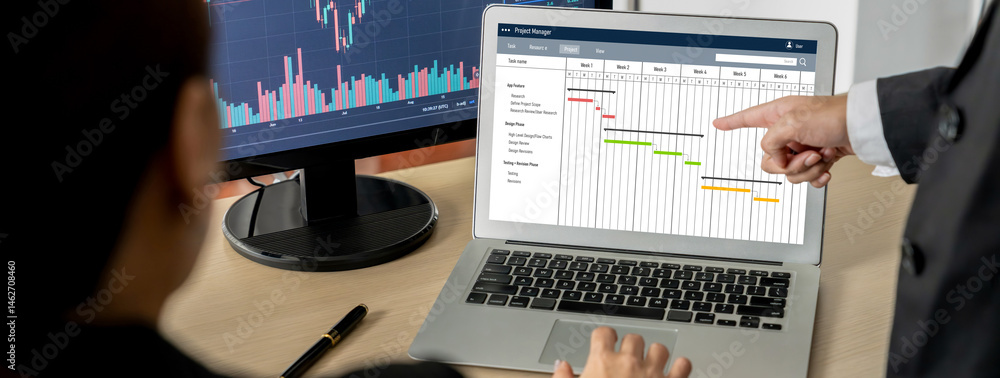 Poster project planning software for brisk business project management on the computer screen showing timel