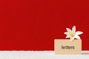 Simple wooden plaque with the word letters sits on a bed of white snow against a deep red backdrop. A single white flower is beside the plaque