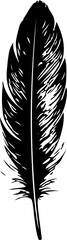 Black feather silhouettes in various shapes and styles, including curved, pointed, rounded, and detailed designs