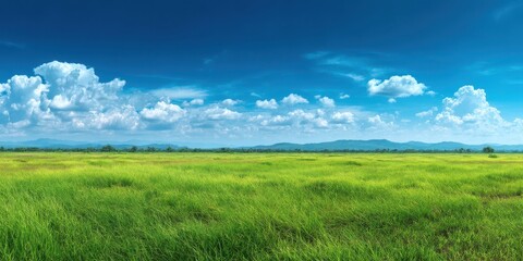 Fototapeta premium A stunning image of beautiful natural scenic panorama green field of cut grass into and blue sky with clouds on horizon. Perfect green lawn on summer sunny day.