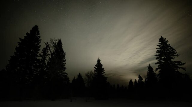 Late night timelapse looking at a star filled sky as thin clouds move towards the viewer