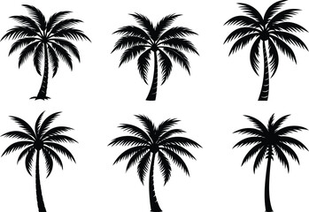 Naklejka premium Palm tree silhouette vector set bundle isolated on white background