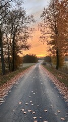 Autumn road, fallen leaves, sunset sky.